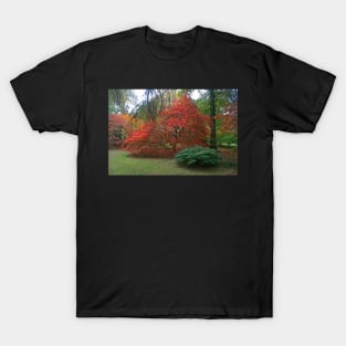 Autumn Colours 2014 T-Shirt